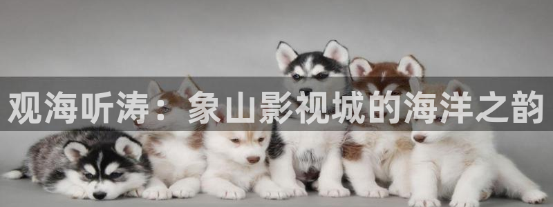 策驰私人影院：观海听涛：象山影视城的海洋之韵