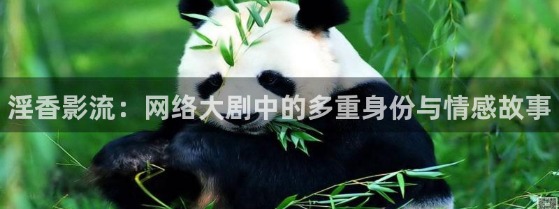 策驰影院vip电视剧免费：淫香影流：网络大剧中的多重身份与情感故事