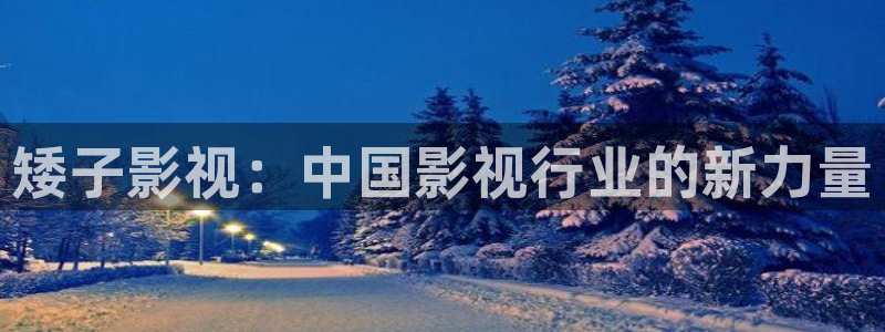 数码宝贝策驰影院：矮子影视：中国影视行业的新力量