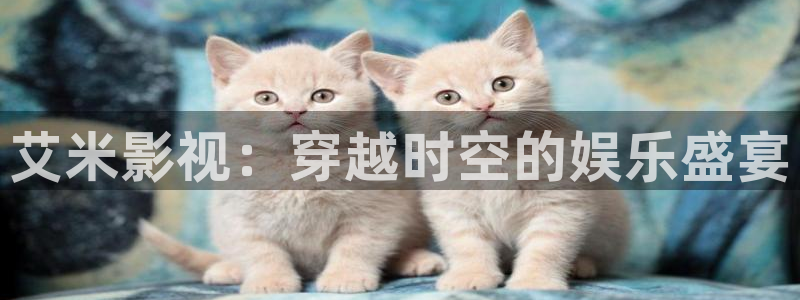 海贼王免费策驰影院：艾米影视：穿越时空的娱乐盛宴