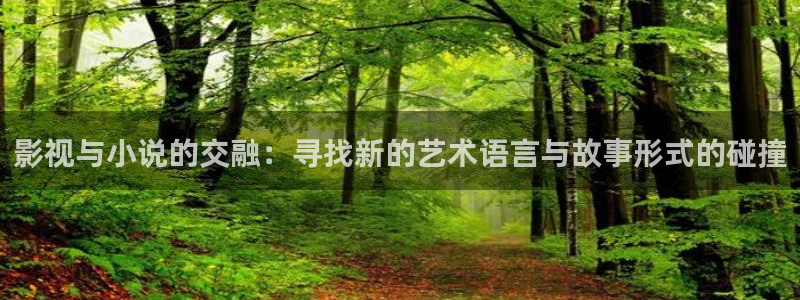 白月梵星电视剧策驰影院：影视与小说的交融：寻找新的艺术语言与故事形式的碰撞