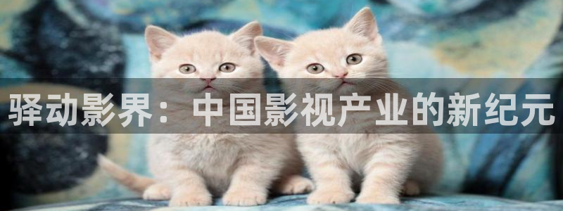 独步逍遥动漫策驰影院：驿动影界：中国影视产业的新纪元