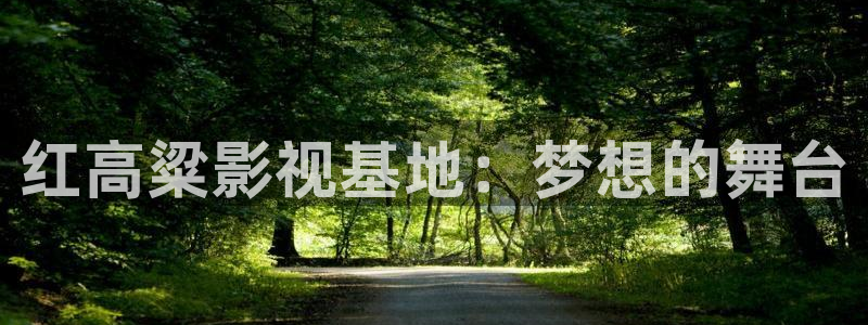雁回时策驰影院免费观看：红高粱影视基地：梦想的舞台