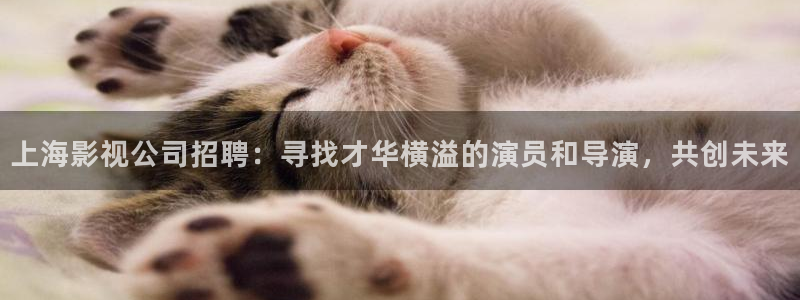 念无双完整版免费观看策驰影院：上海影视公司招聘：寻找才华横溢的演员和导演，共创未来