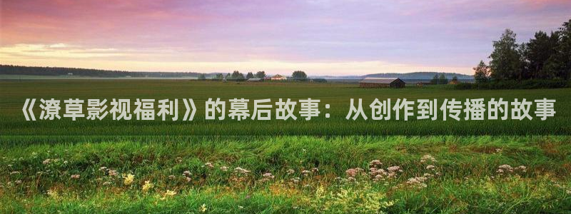 策驰影院影片在线观看：《潦草影视福利》的幕后故事：从创作到传播的故事