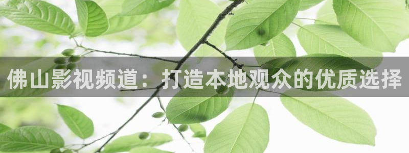 且试天下策驰影院免费：佛山影视频道：打造本地观众的优质选择
