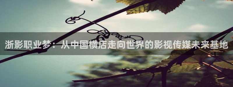 策驰影院电视剧免费2024：浙影职业梦：从中国横店走向世界的影视传媒未来基地