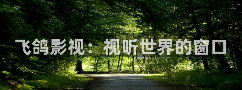 策驰免费在线影院网：飞鸽影视：视听世界的窗口