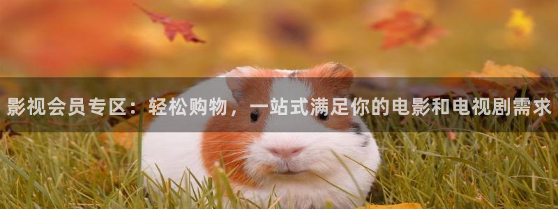 你好星期六免费观看策驰影院：影视会员专区：轻松购物，一站式满足你的电影和电视剧需求